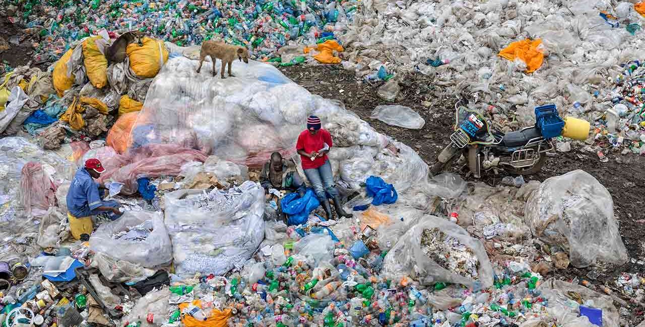 ANTHROPOCENE: DANDORA | SIMA Studios