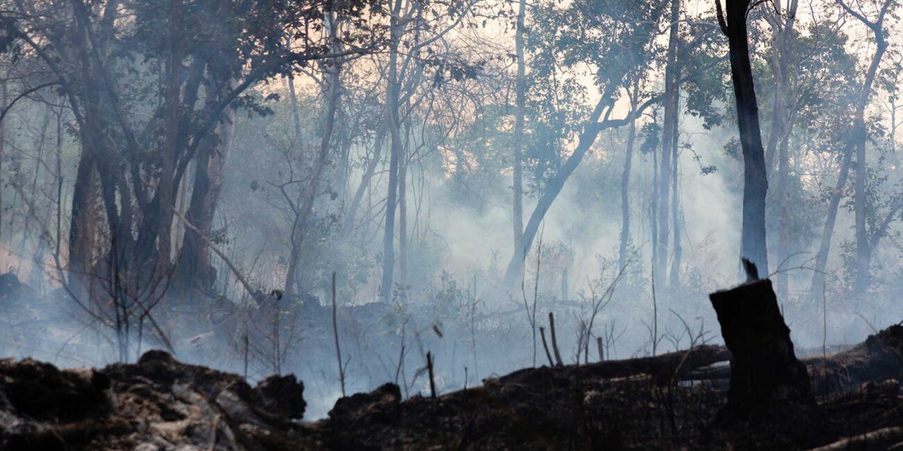 CAMBODIA BURNING | SIMA Studios