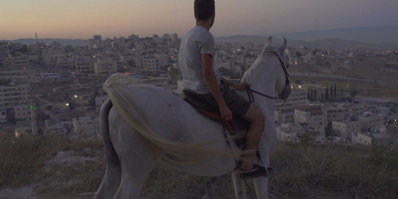 STALLIONS OF PALESTINE | SIMA Studios