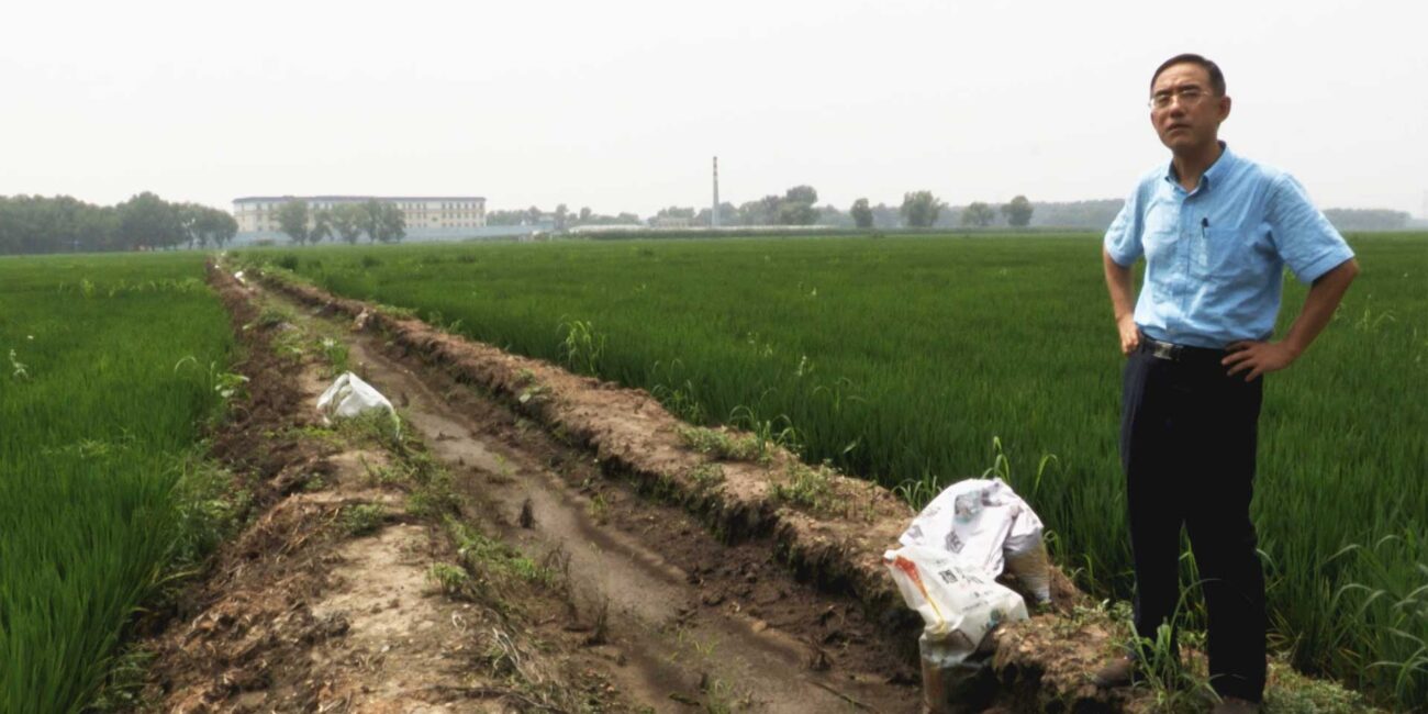 LETTER FROM MASANJIA | SIMA Studios
