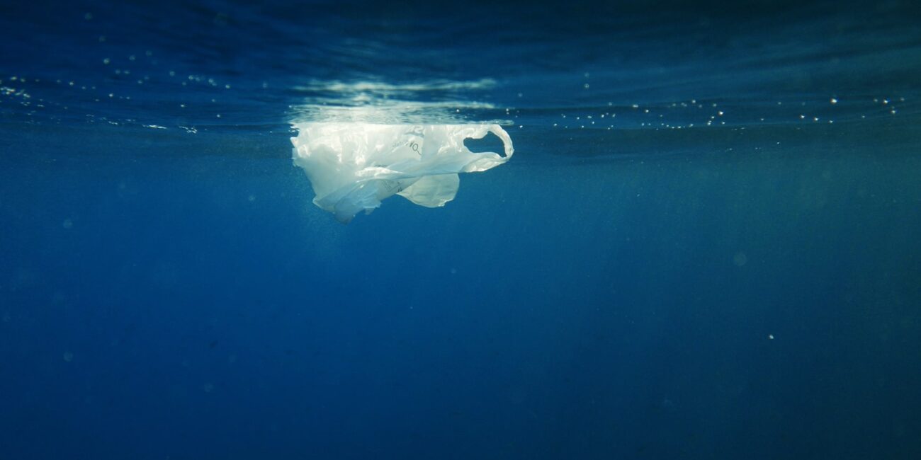 OUT OF PLASTIC | SIMA Studios